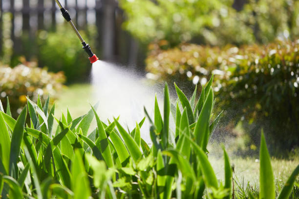24/7 Emergency Wasp Removal experts in Ogallala, NE